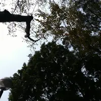 孤獨是我的名字