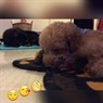 Natalie_9196