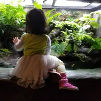 yanmi.bibi