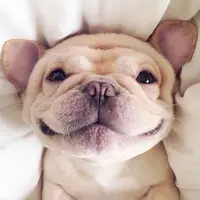 buzzkathy