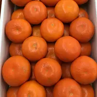 LinLin1201