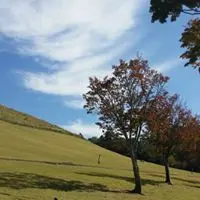 TpsTai