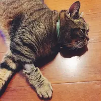 Meanchu