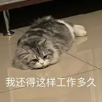 CaiYukai