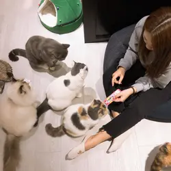Natalie Shiu