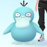 qqayaka