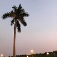 Terencest