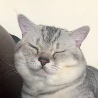 貴輪may