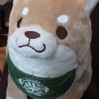 大胃章魚成
