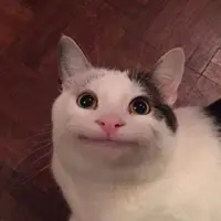 挑戰者2號