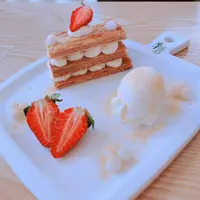 Moonna為食貓
