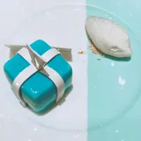 sindylam10