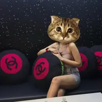 simpletomato