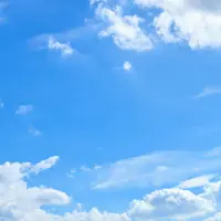RyanWO
