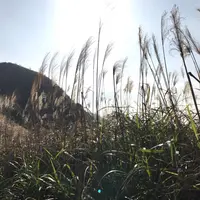 kkklann