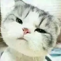 StepENT