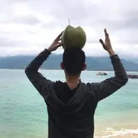頂椰