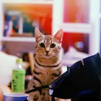 Yum Tum