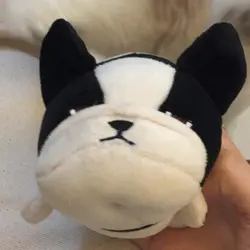 FrannHei