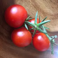 Bibi_cook