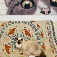 shirleyoyw