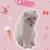 wpboo