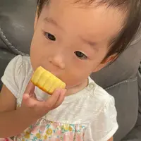 sharonpigpig