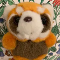 小狸俠
