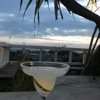 FungKity