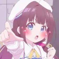 不可及