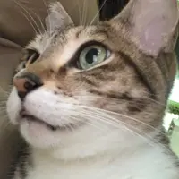 卡卡卡卡卡