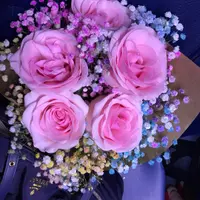 Teresa Lam BB