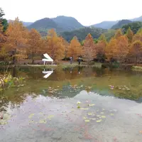 食完