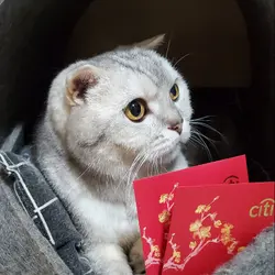 ykmwai