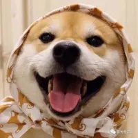 Maggie_kook