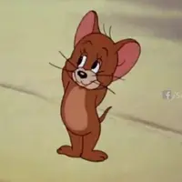 JaniceLiii