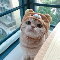 kekelan