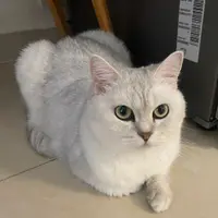 leahnhh