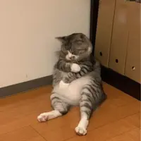 ttssshan