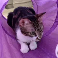 快L啲啦求其影住先啦我好肚饿呀呀呀吼