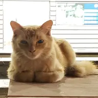 唔理你感受