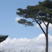 SasaZeng