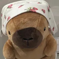 stephypig