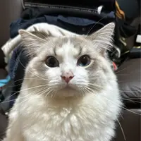 LilyYuen5221