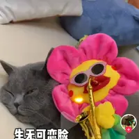 xuxiangling