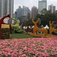 独角马马