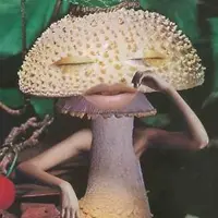 為食小蘑菇