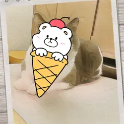 sesamebun
