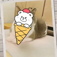 sesamebun