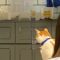the.food.tells